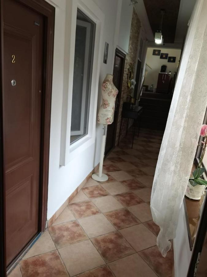 In Tmisoara *