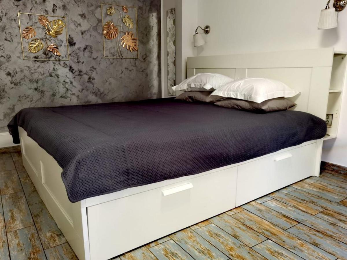 Appartement In Tmisoara Timişoara