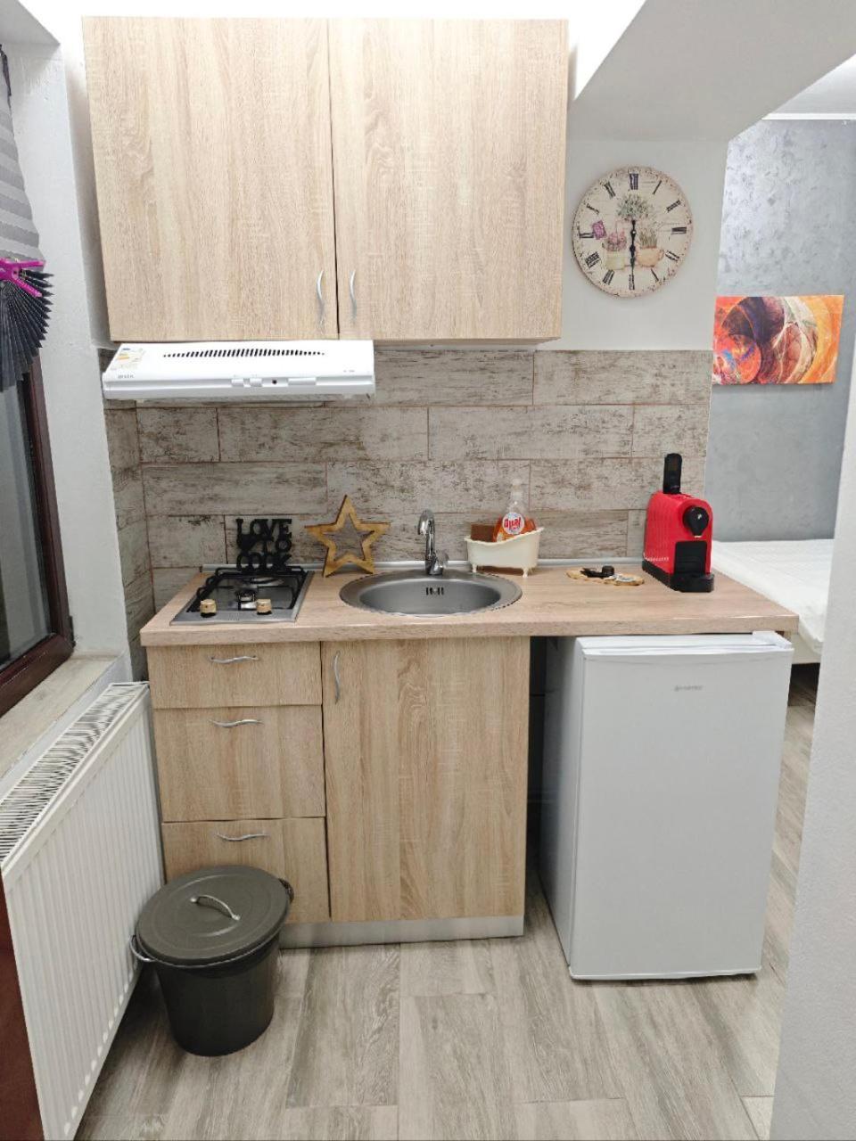 Appartamento In Tmisoara *